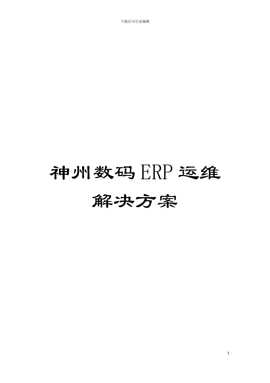 神州数码ERP运维解决方案模板_第1页