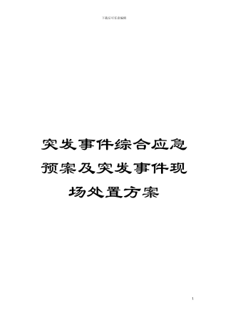 突发事件综合应急预案及突发事件现场处置方案模板