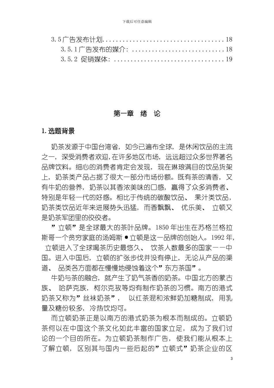 立顿策划模板_第3页