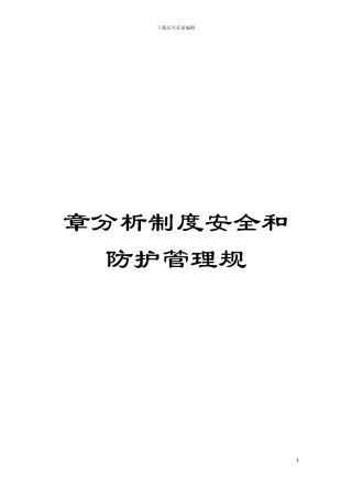 章分析制度安全和防护管理规模板