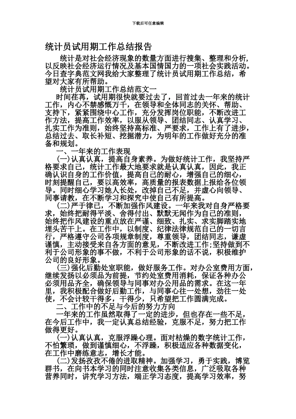 统计员试用期工作总结报告文档_第2页