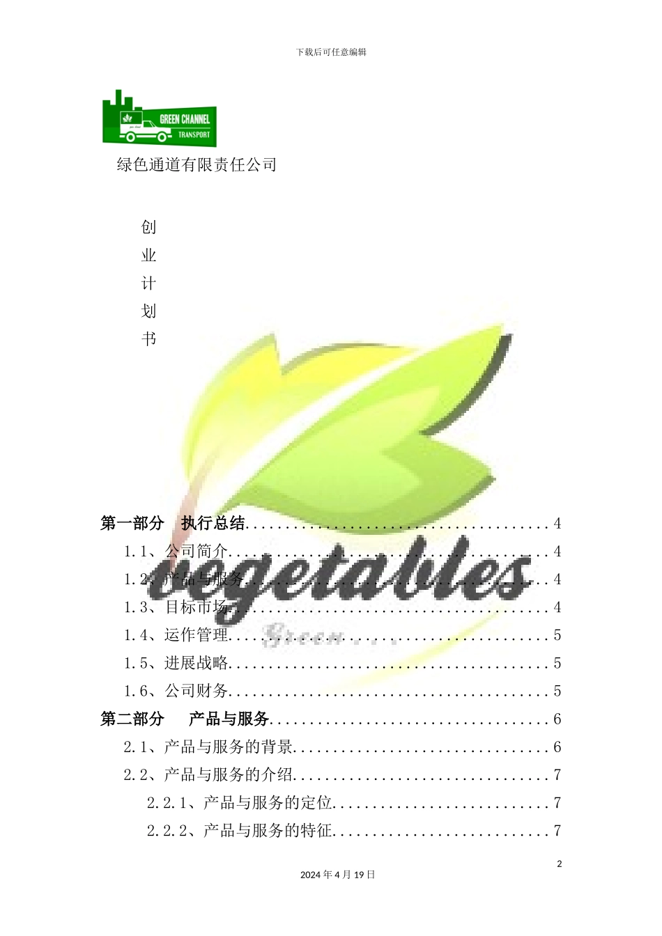 绿色通道公司创业计划书_第2页