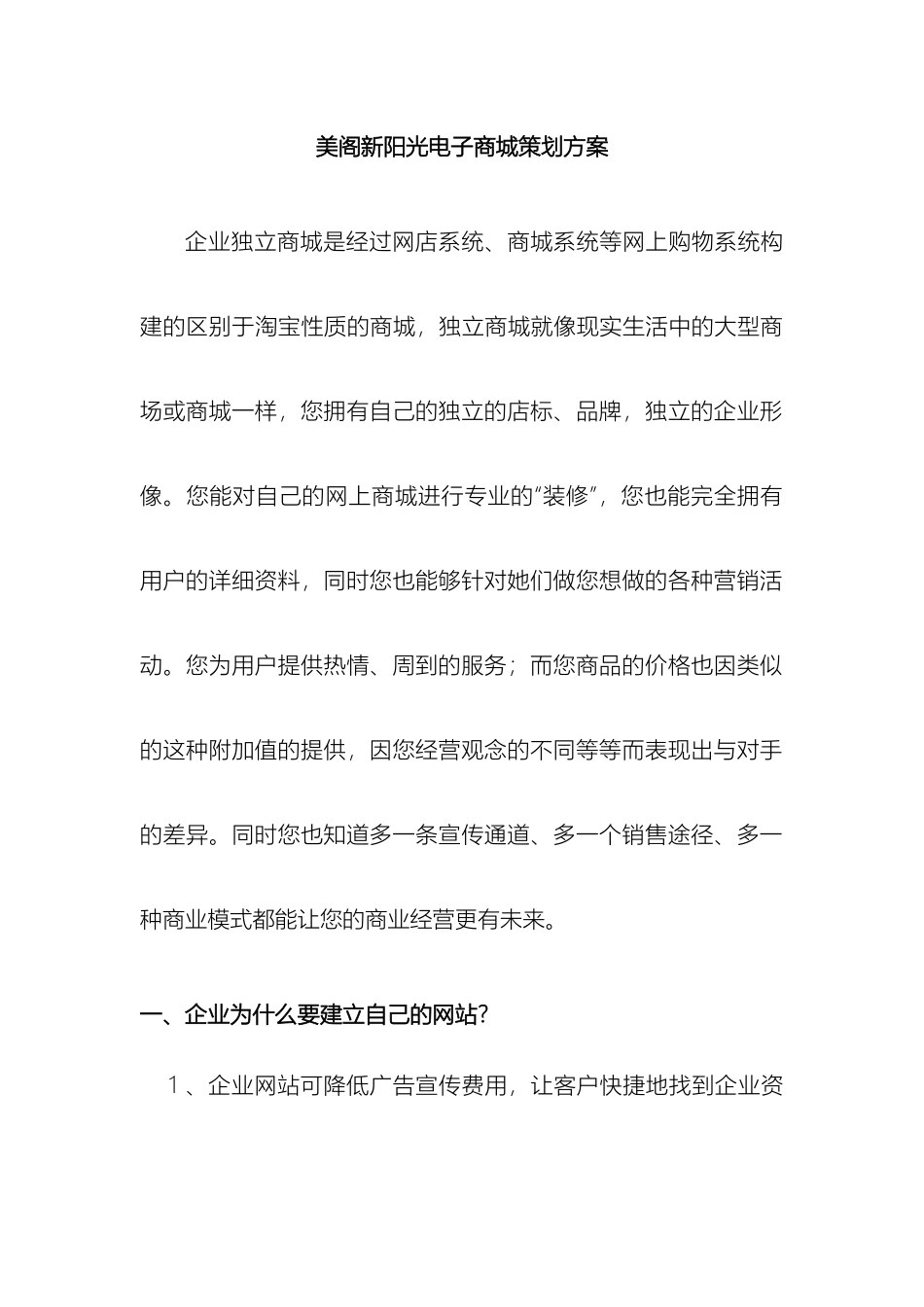 美阁新阳光电子商城策划方案_第2页