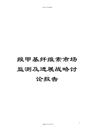 羧甲基纤维素市场监测及发展战略研究报告