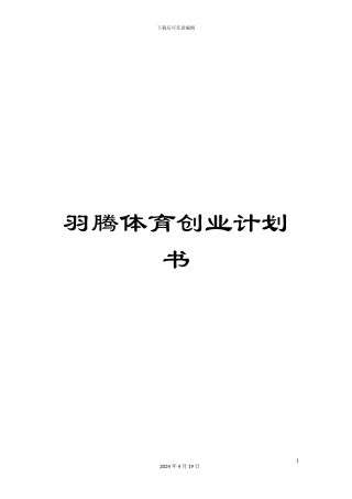 羽腾体育创业计划书
