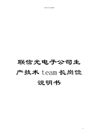 联信光电子公司生产技术team长岗位说明书模板