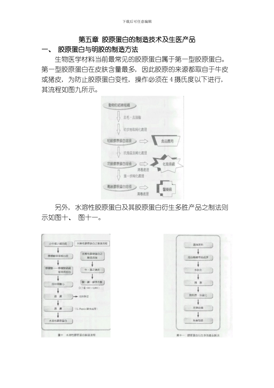 胶原蛋白的制造技术及生医产品模板_第1页