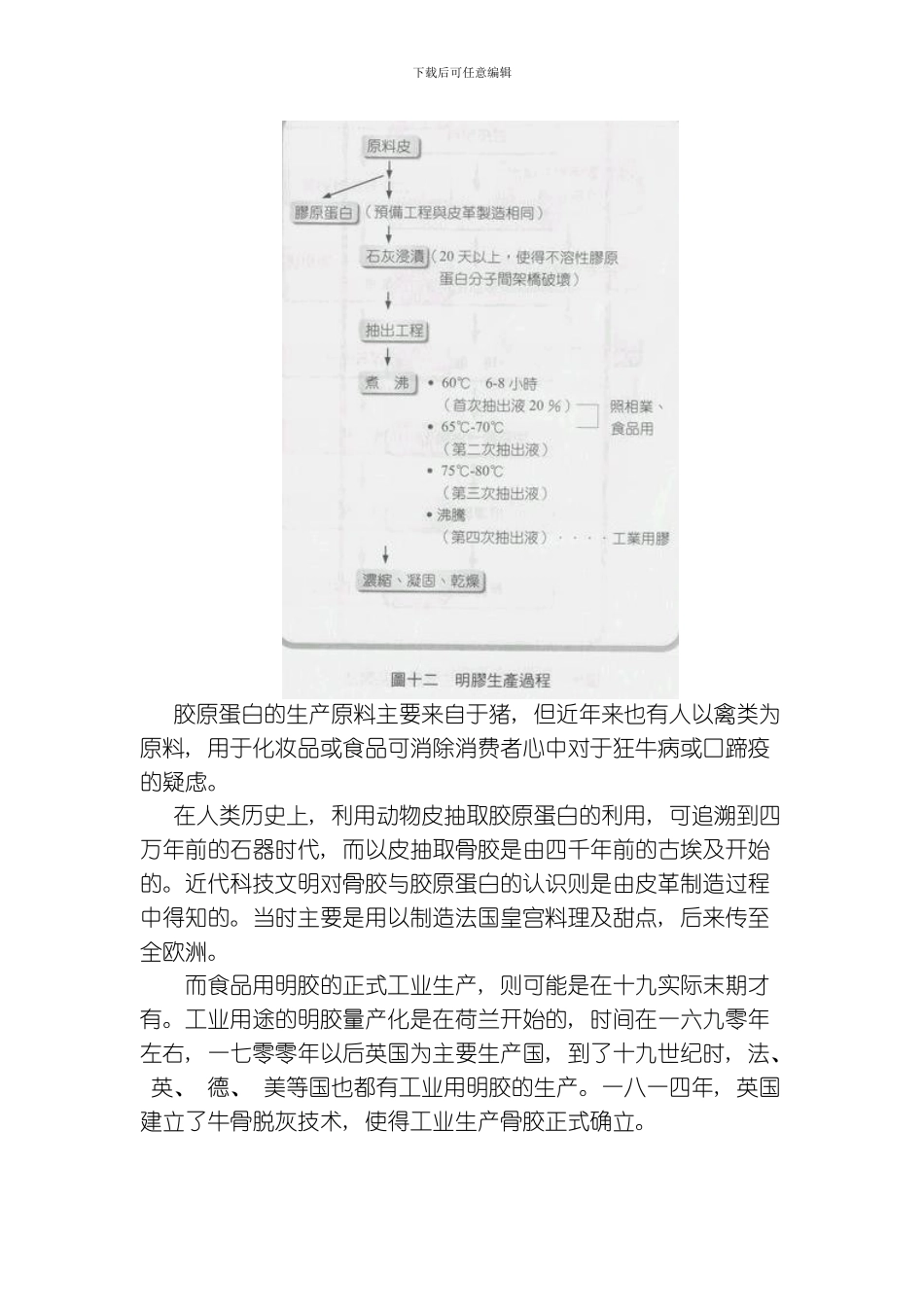 胶原蛋白的制造技术及生医产品模板_第3页