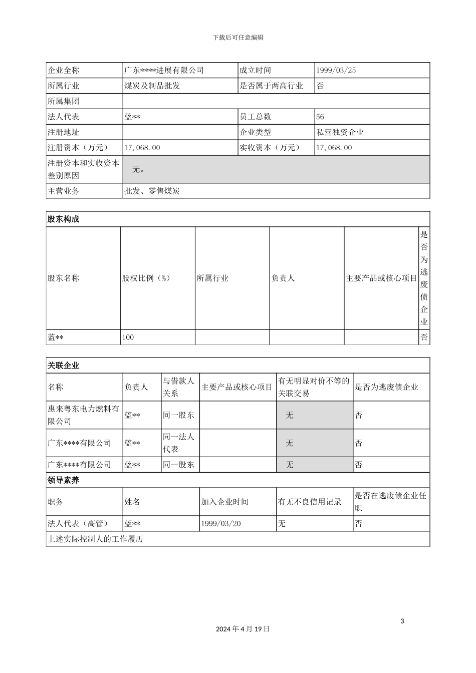能源发展公司银行授信调查报告模板_第3页
