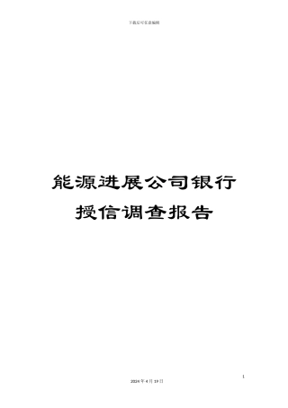 能源发展公司银行授信调查报告模板