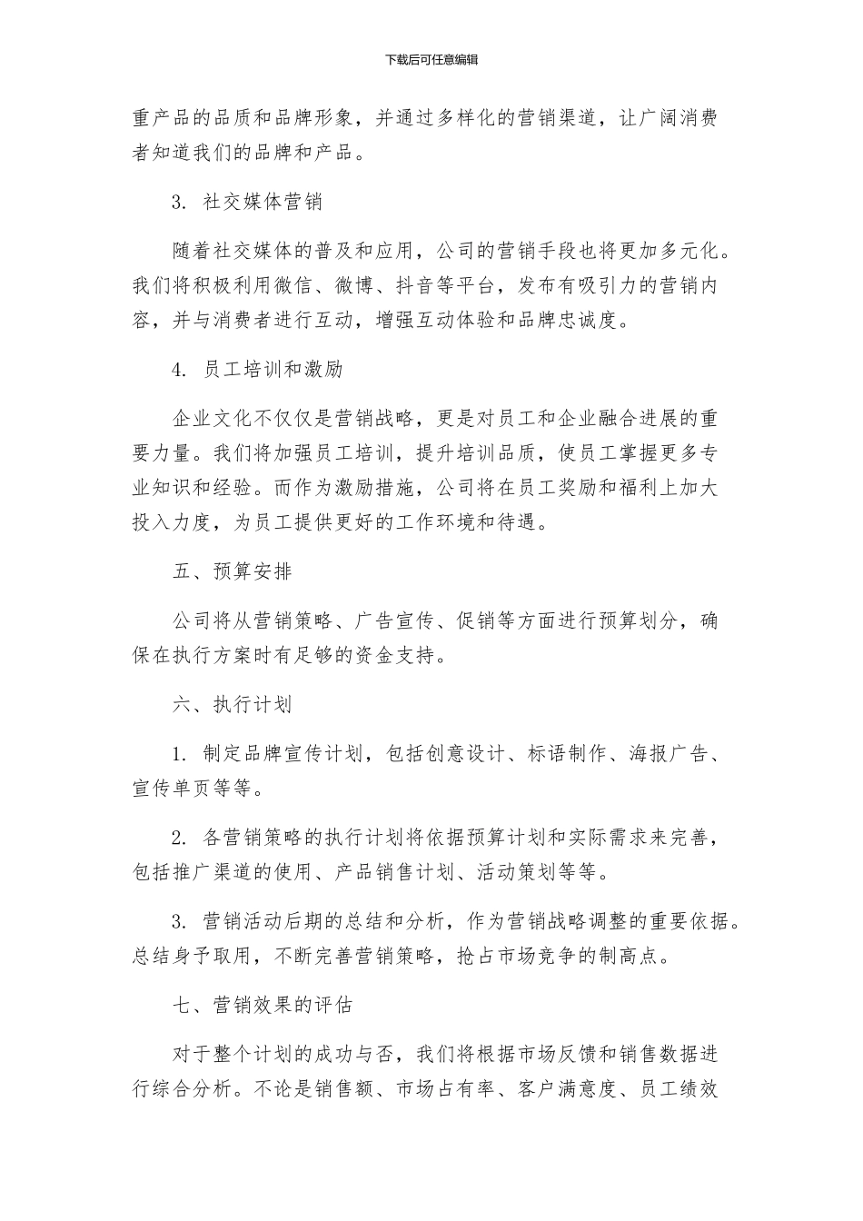 营销企划方案_第2页