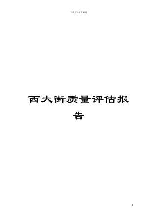 西大街质量评估报告模板