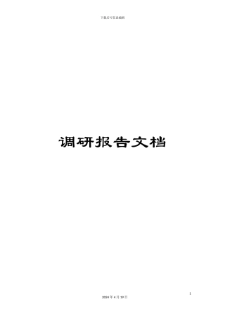 调研报告文档