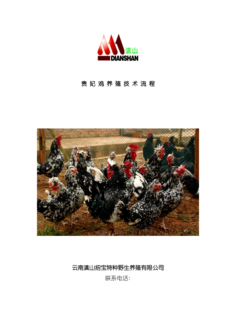 贵妃鸡养殖技术流程教材模板_第2页
