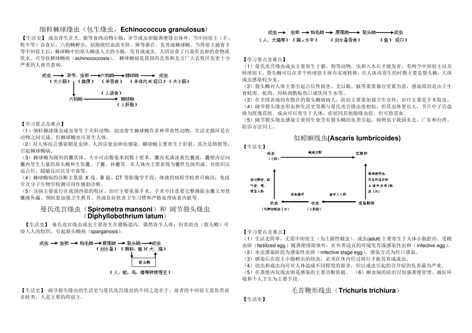 医学寄生虫生活史_第3页