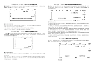 医学寄生虫生活史