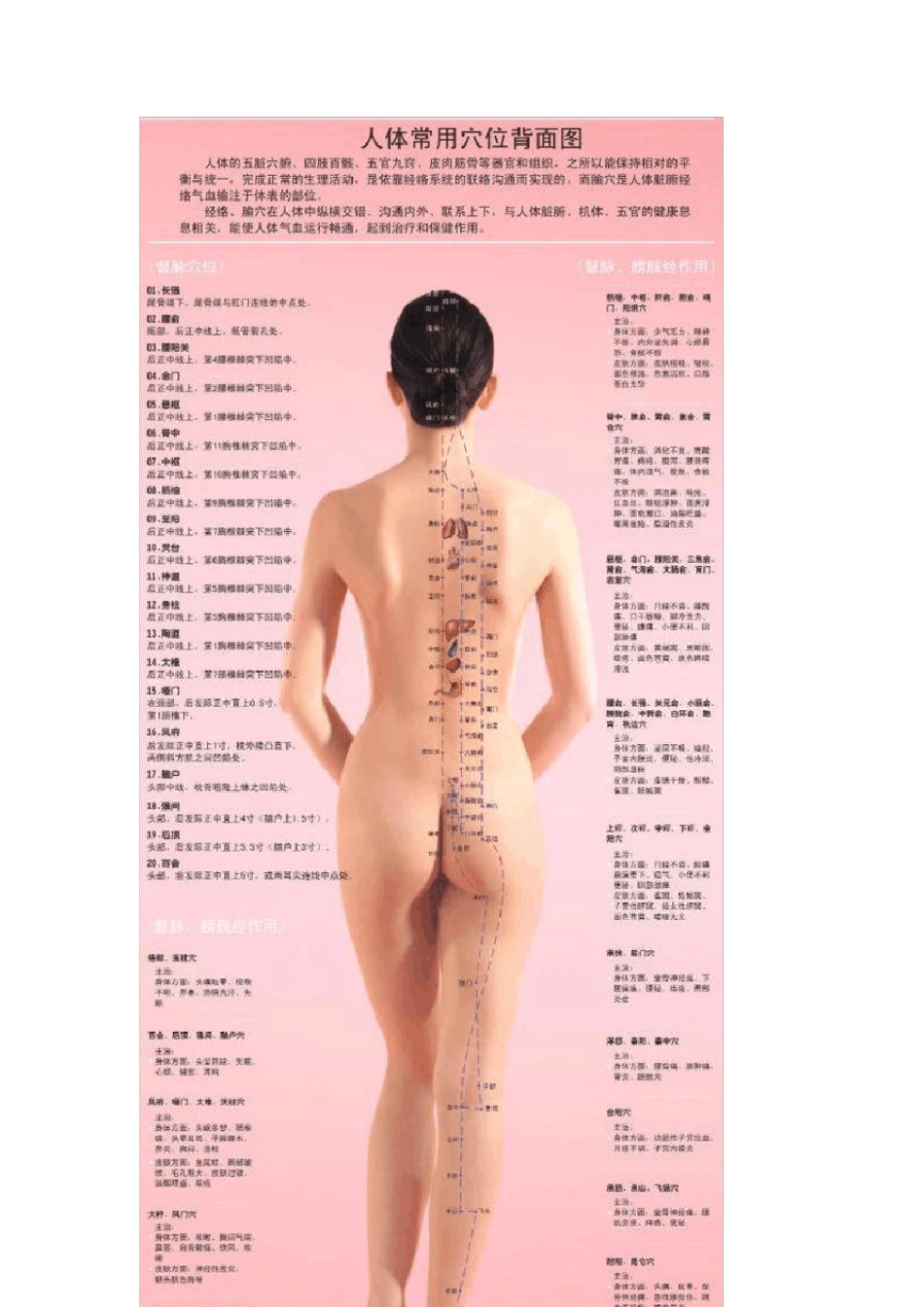医学常识普及：人体穴位图(高清免费)_第2页