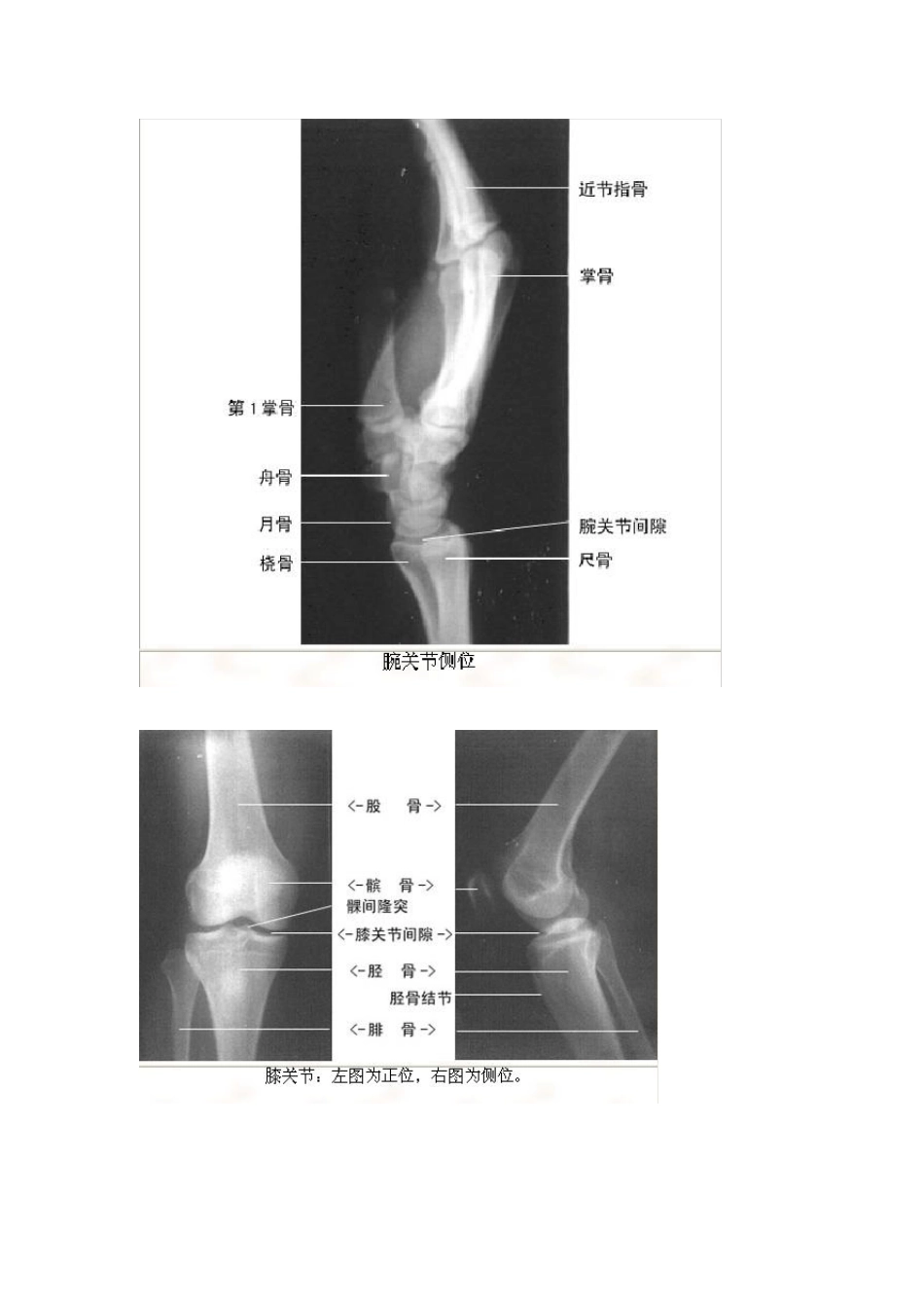 医学影像图谱_第3页