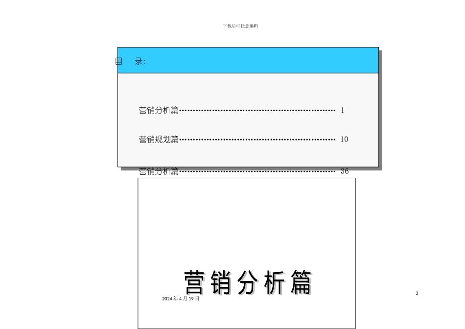 赛格营销推广策划方案模板_第3页
