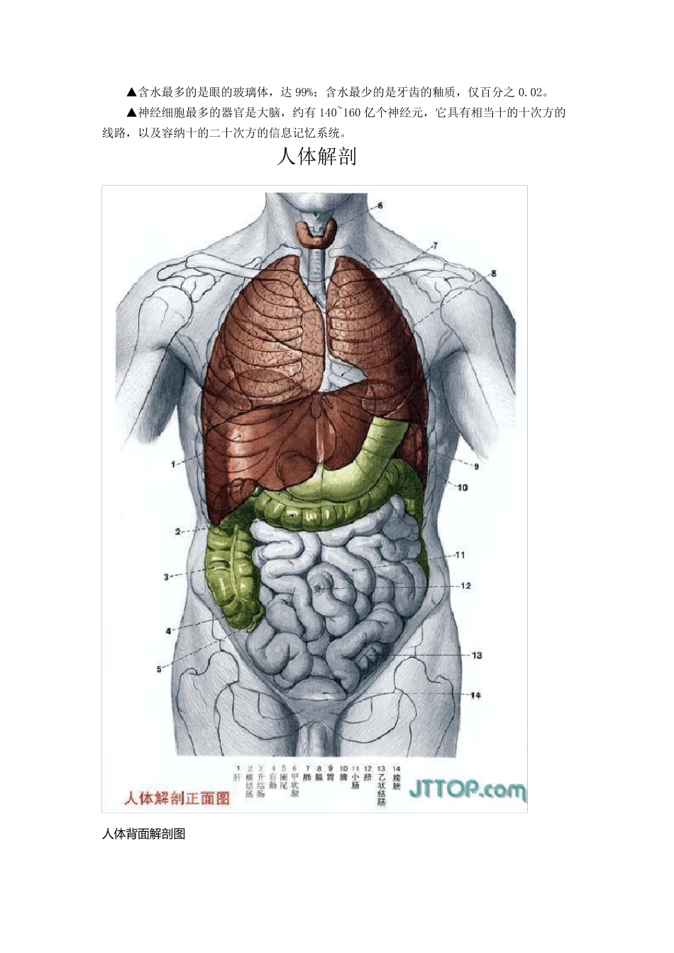 医学知识点大全_第3页