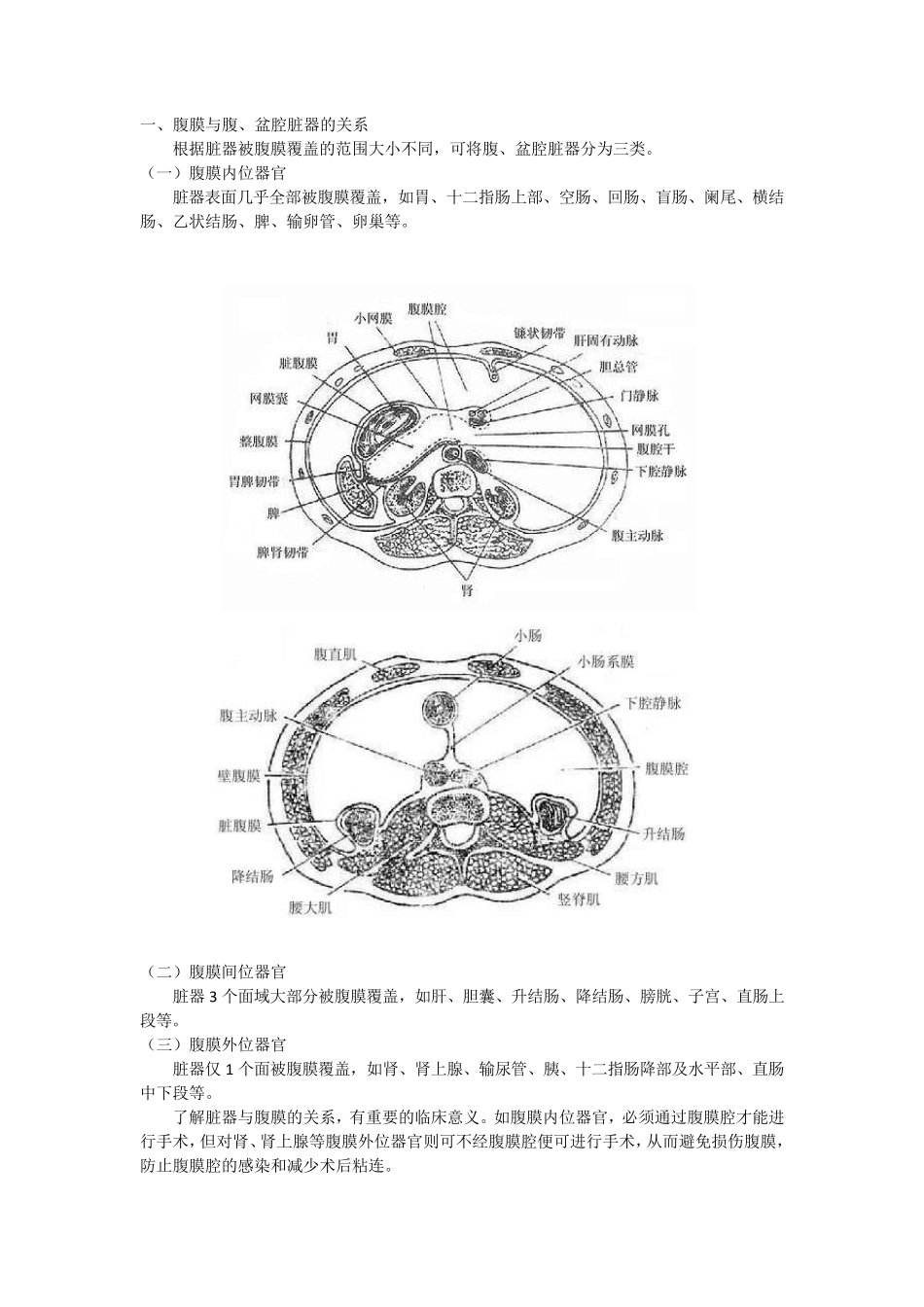 医学笔记：人体解剖学之腹膜_第3页