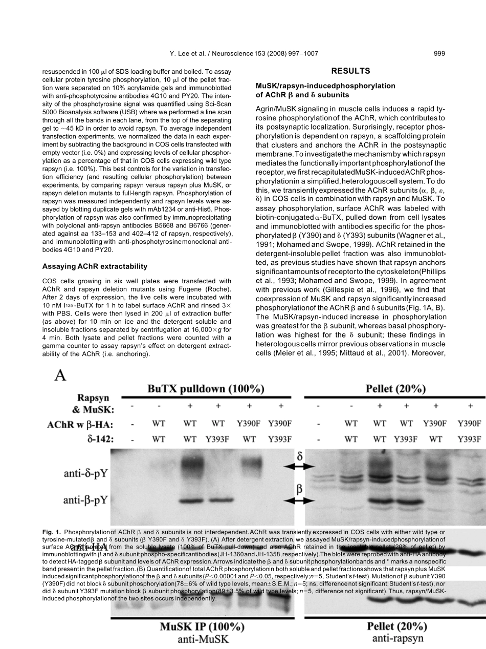医学英文文献_第3页