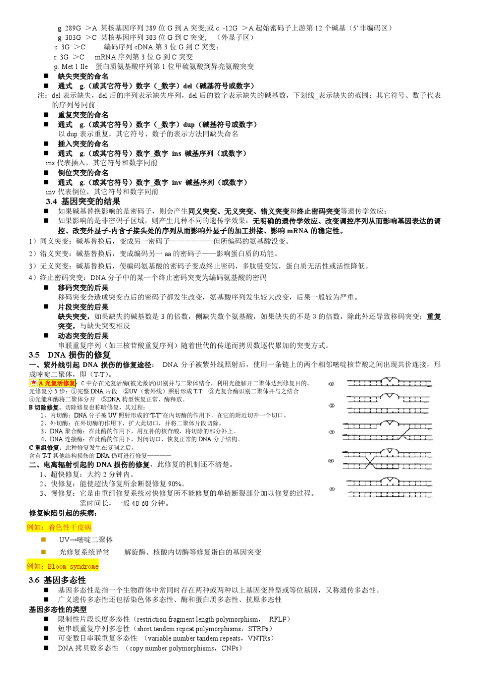医学遗传学笔记(重点标注)_第3页