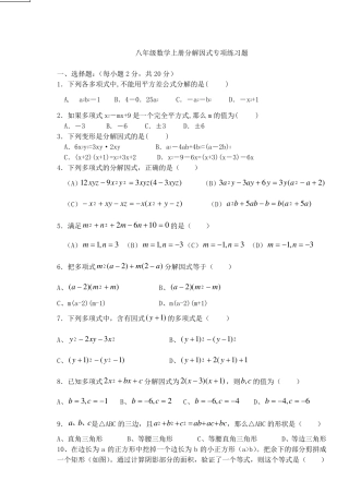 因式分解典型习题,培优题