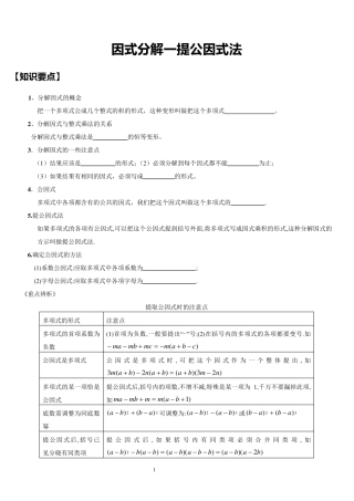 因式分解分类讲解