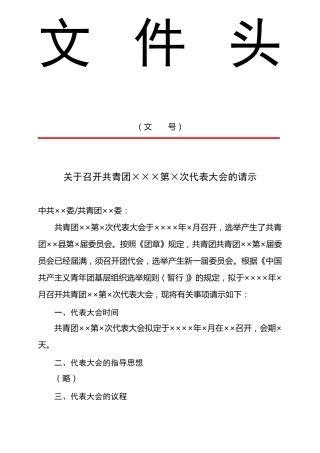 团委换届选举材料