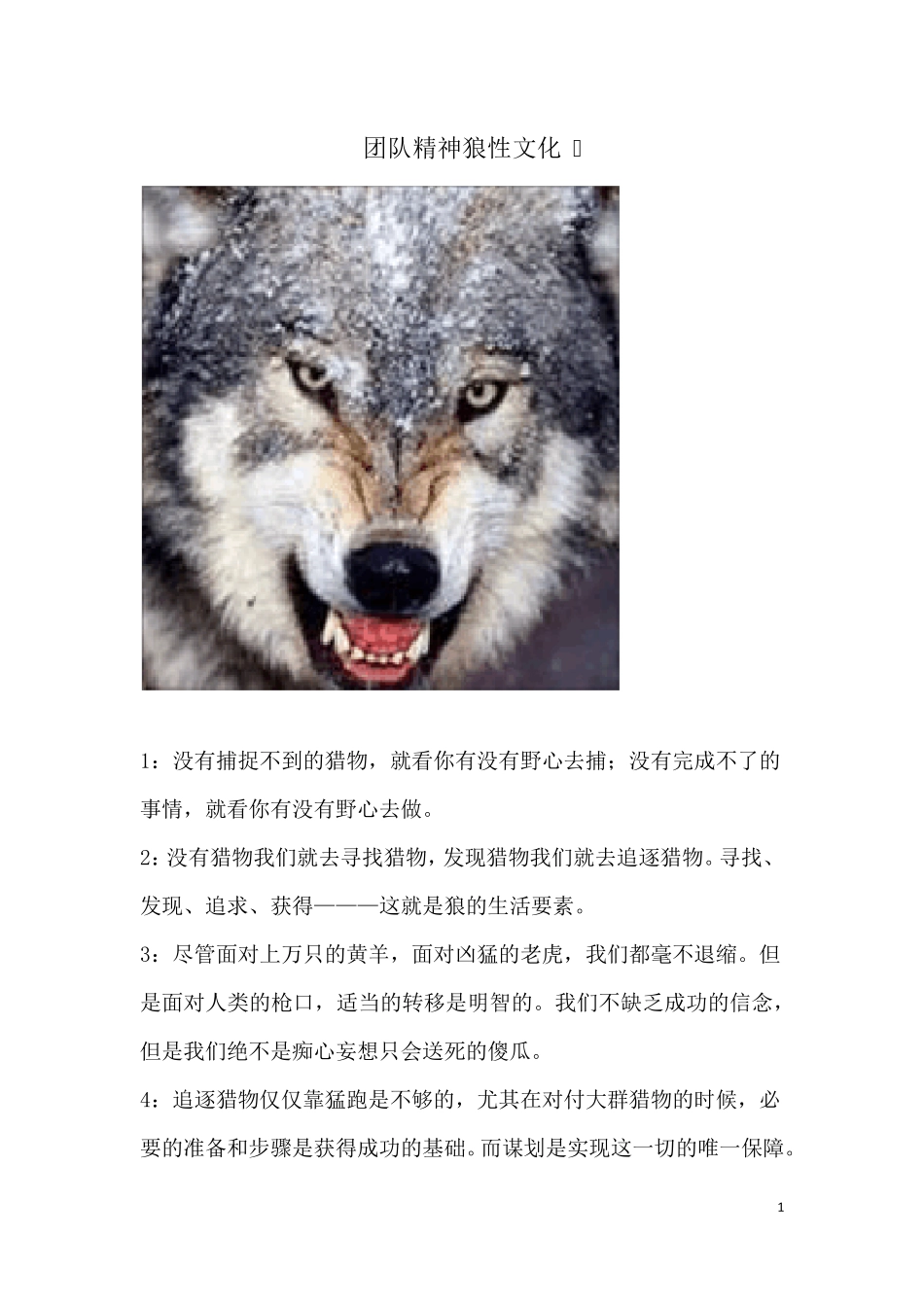 团队精神,狼性文化_第1页