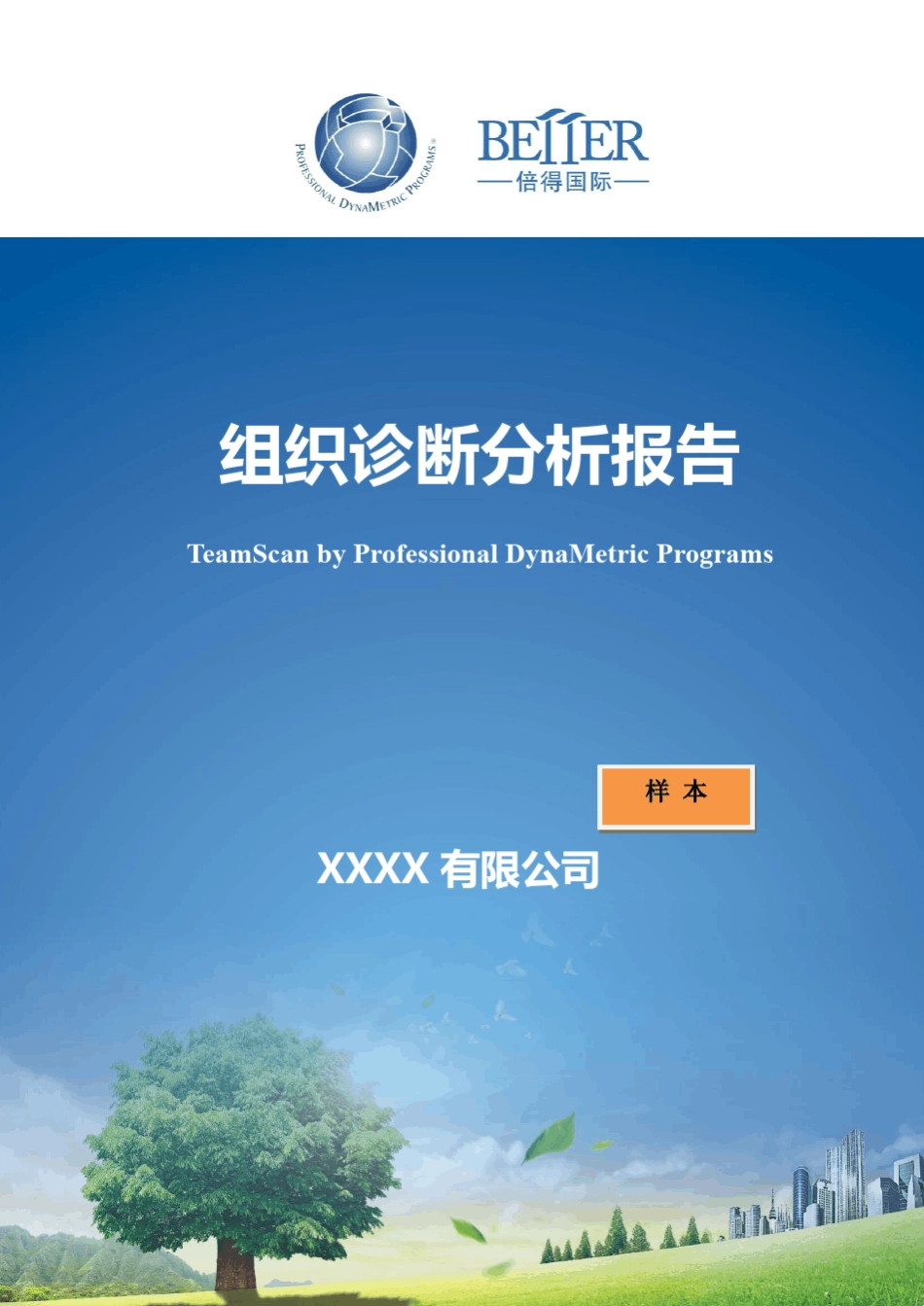 团队诊断报告样本_第1页