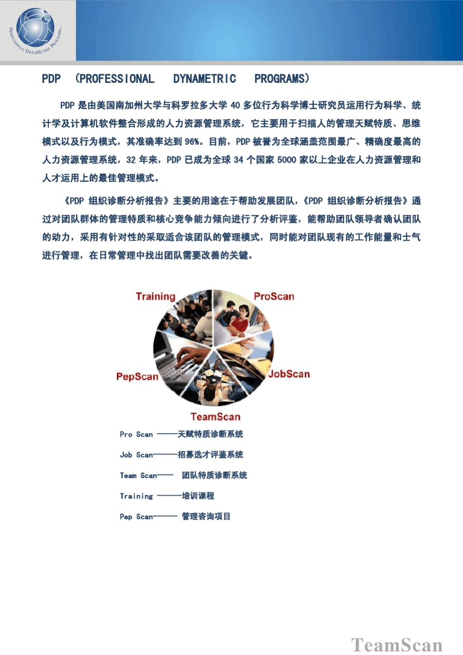 团队诊断报告样本_第2页