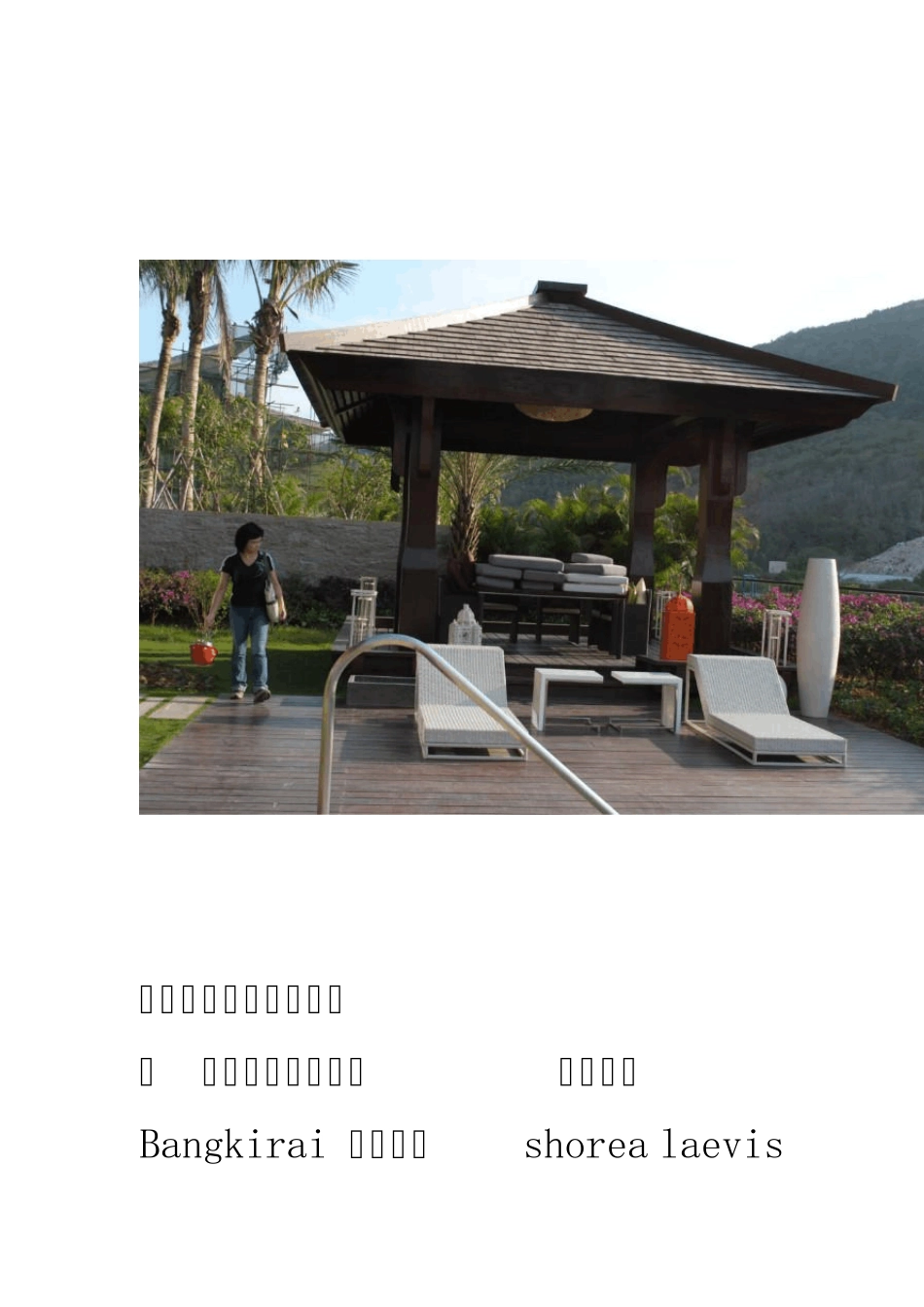 园林景观常见防腐木汇总_第3页