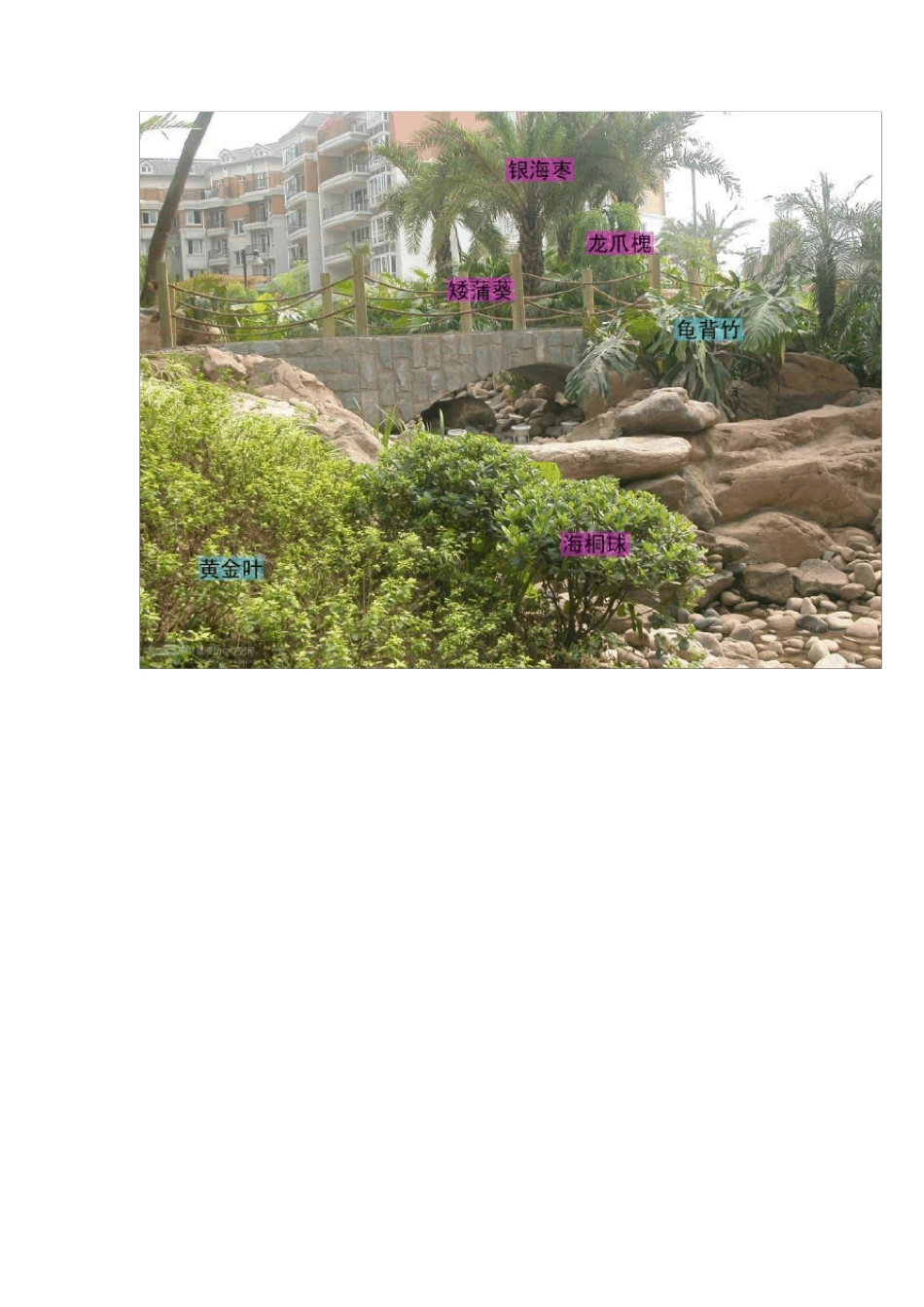 园林景观植物搭配图文_第2页