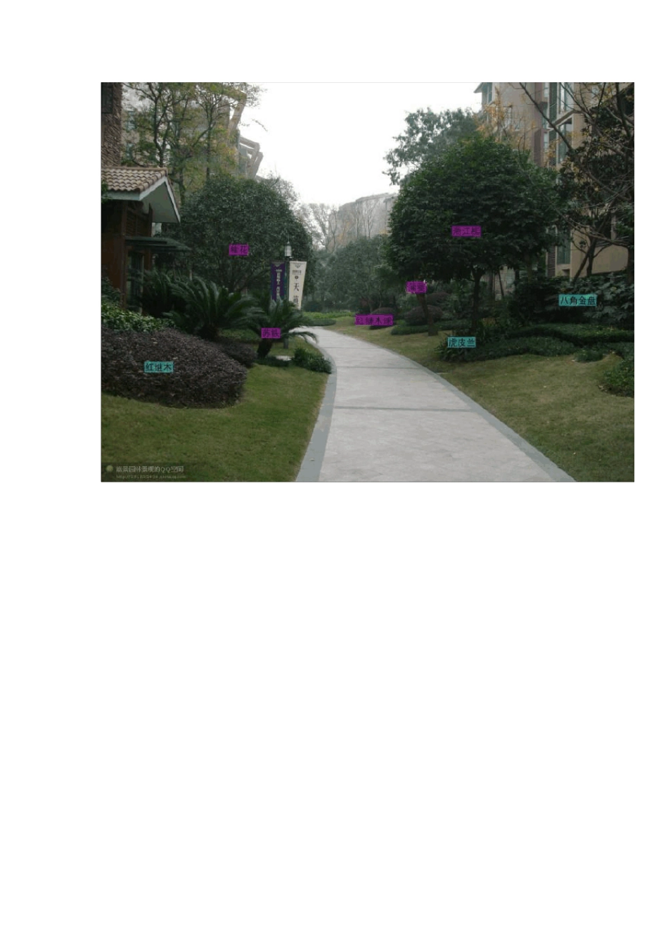 园林景观植物搭配图文_第3页