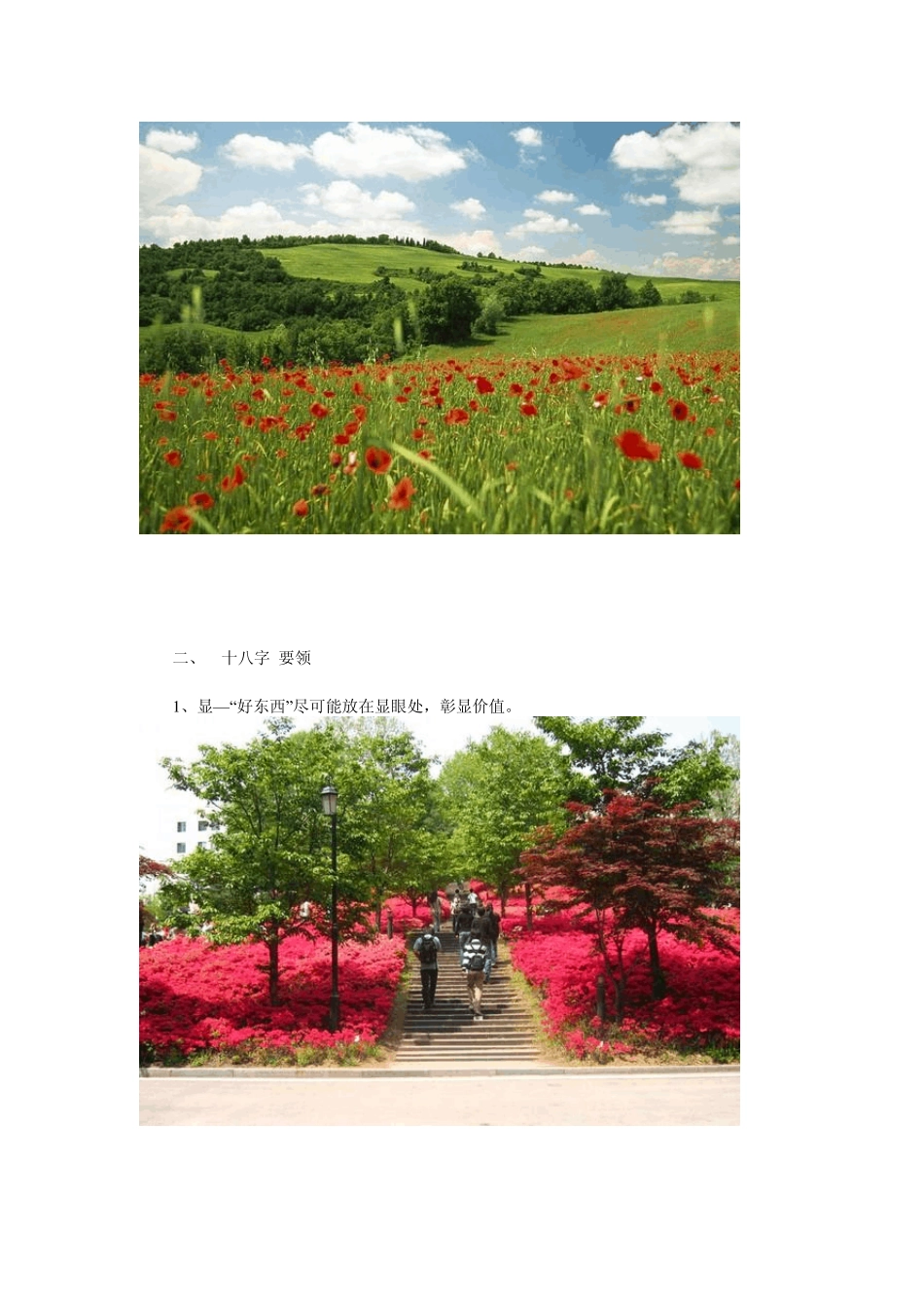 园林景观植物配置秘笈_第3页