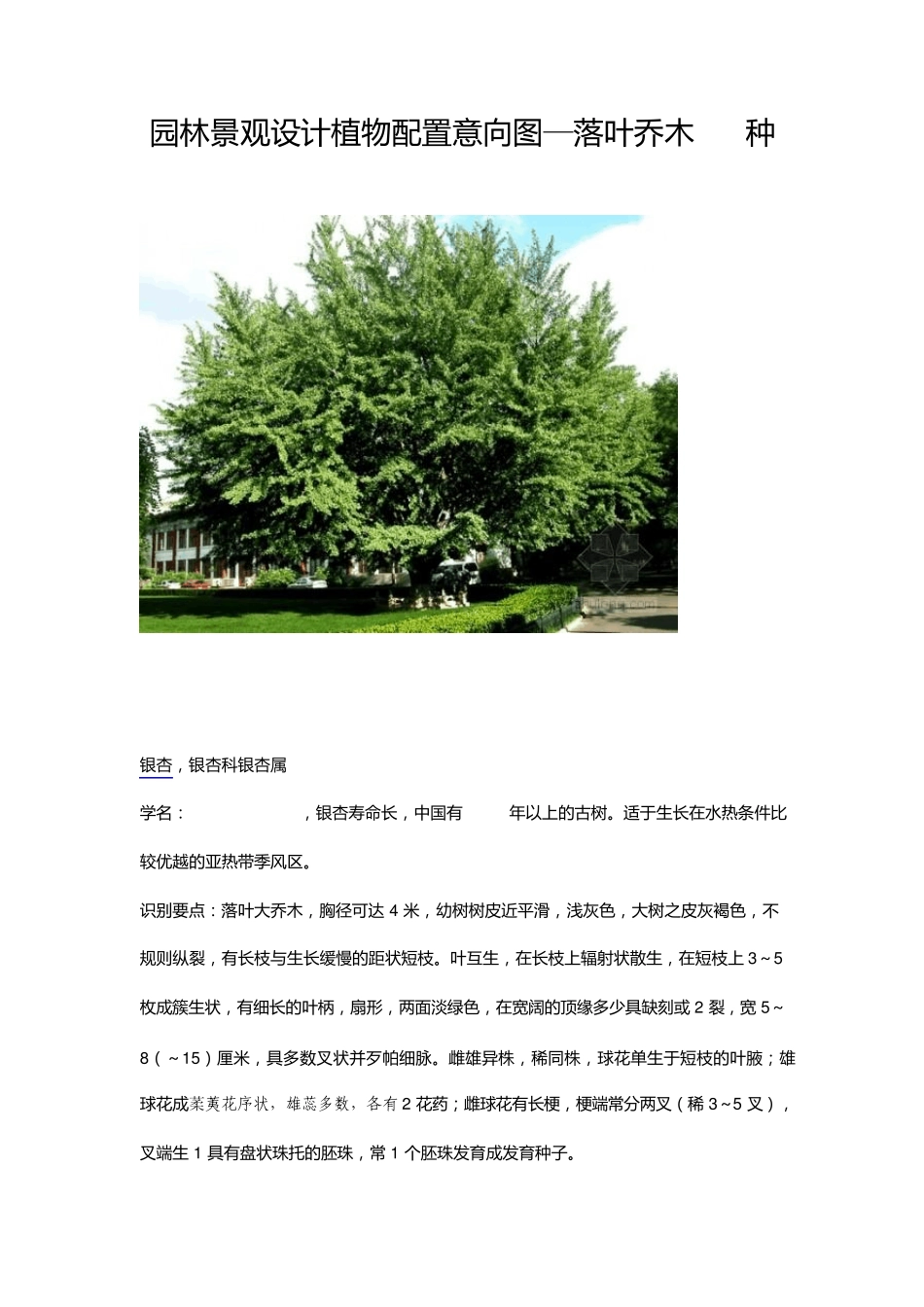 园林景观植物配置意向图落叶乔木50种_第1页