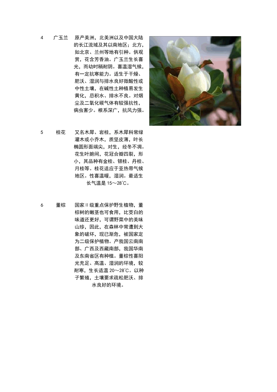 园林植物的习性大全(附图)_第2页