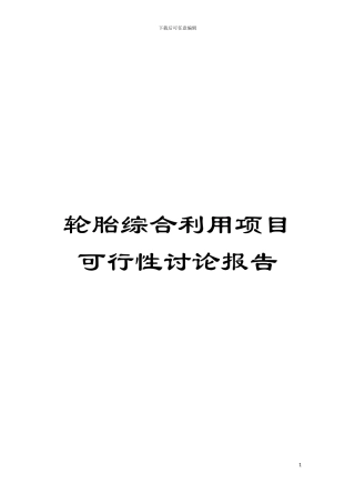 轮胎综合利用项目可行性研究报告模板