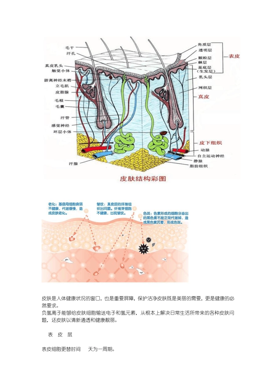 固体负氢离子_第2页