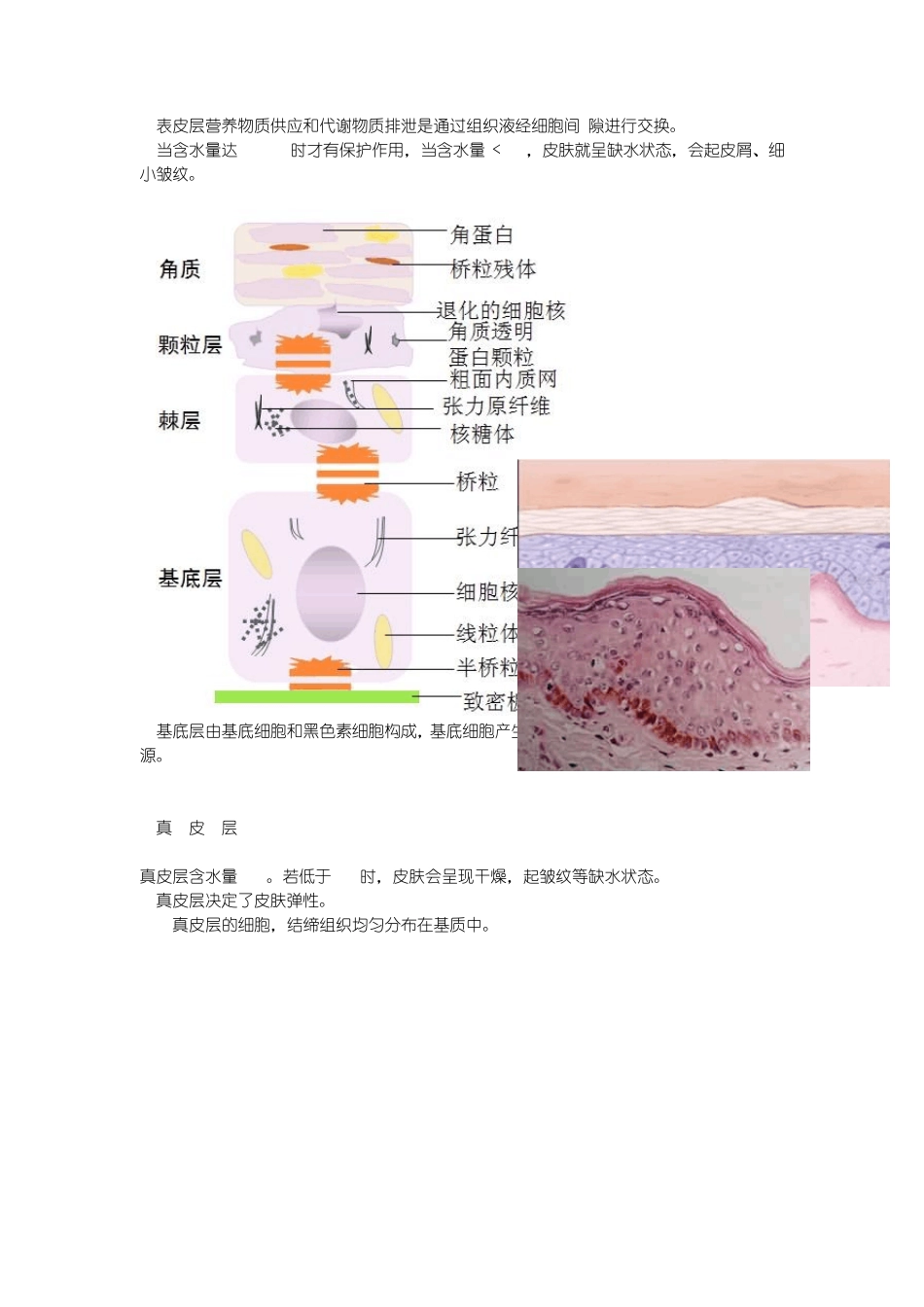 固体负氢离子_第3页