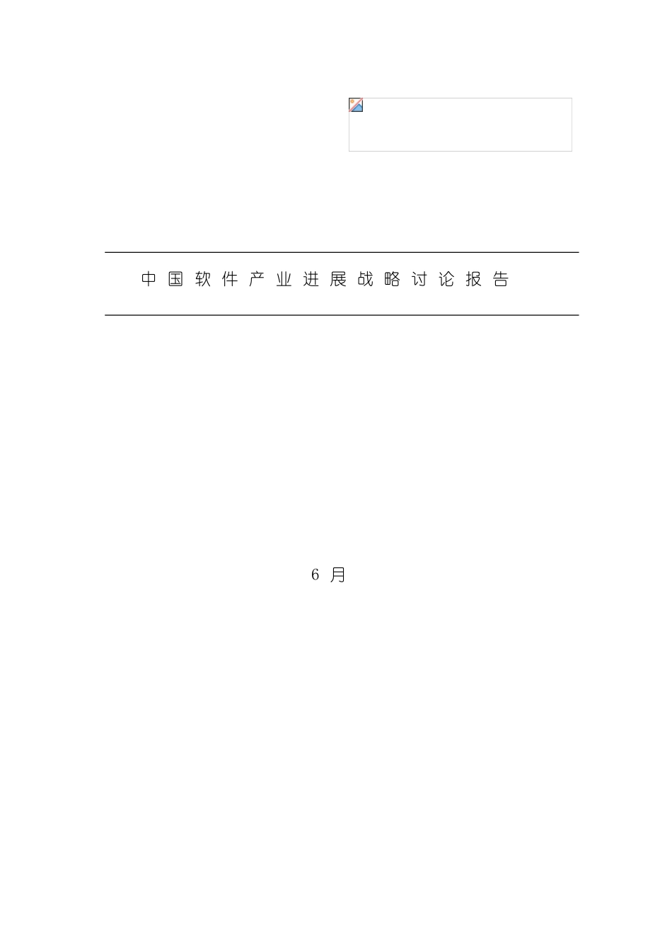 软件产业发展战略研究报告模板_第2页