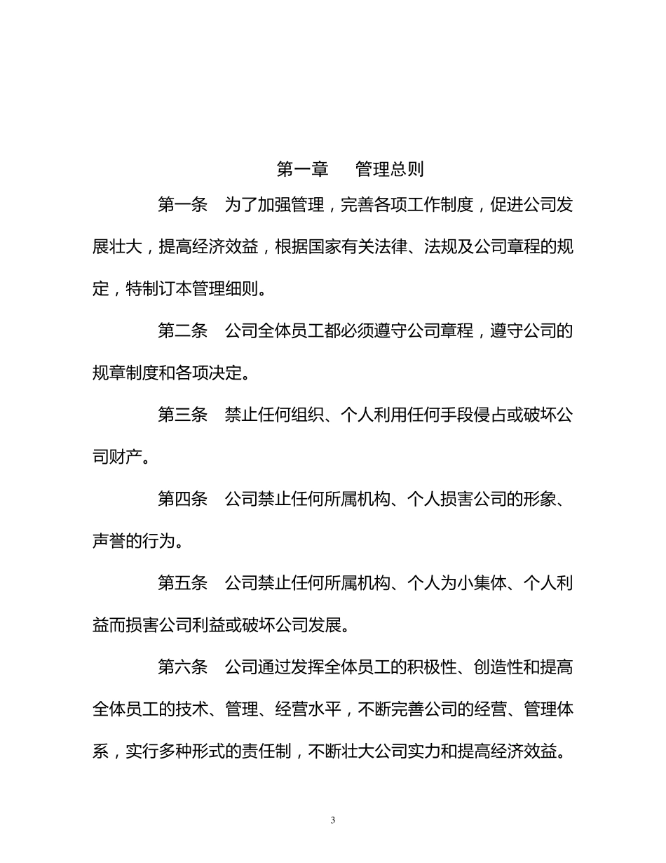 国企公司规章制度_第3页