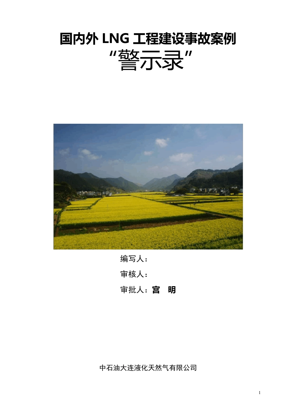 国内外lng工程建设事故案例警示录1725282907_第1页