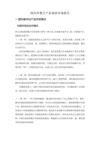 国内外数字产品现状市场报告