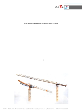 国内外的平头塔式起重机