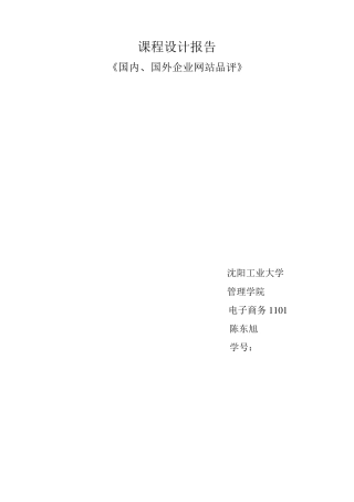 国内外网站分析比较