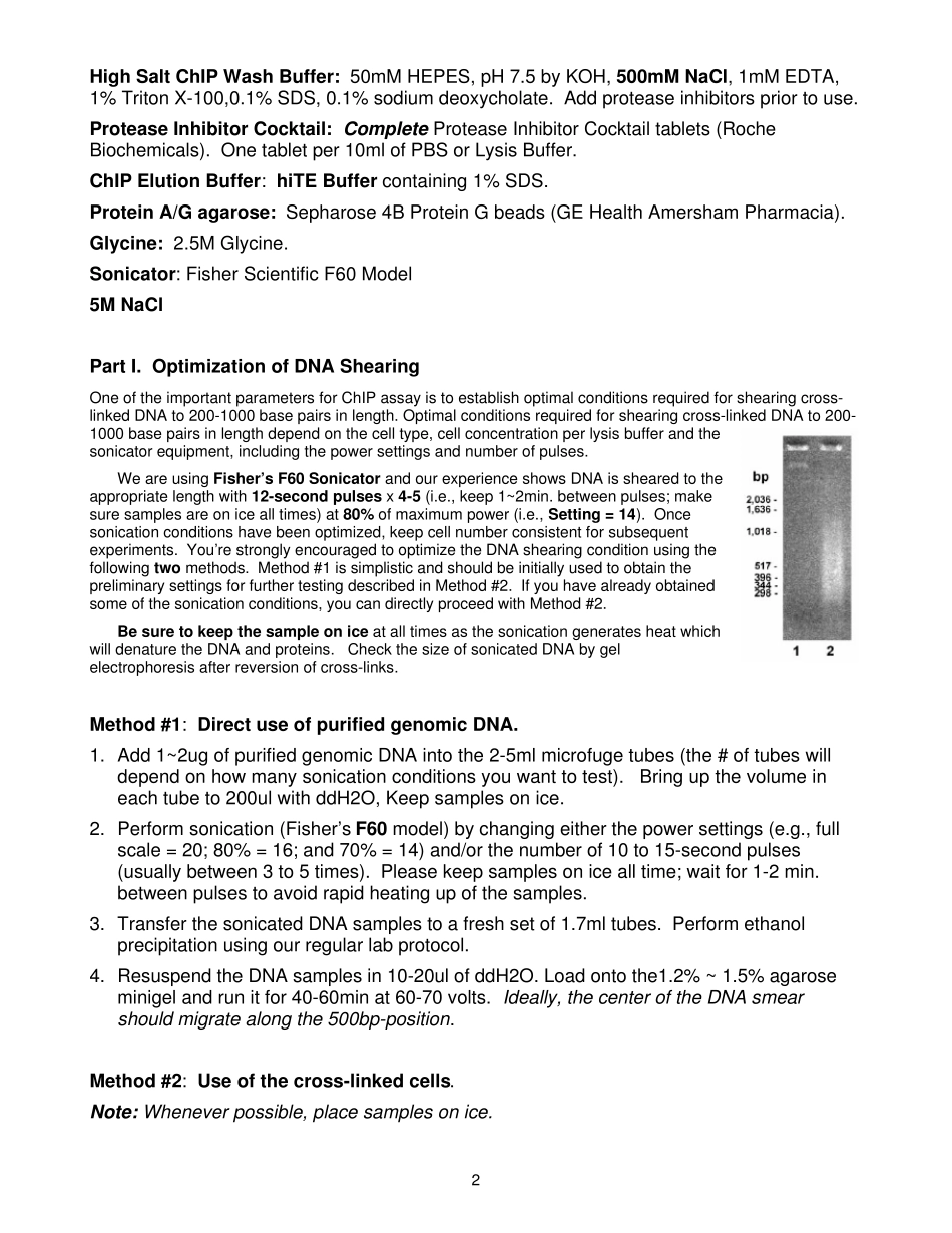 国外ChIP染色质免疫共沉淀实验方法realtimePCR_第2页