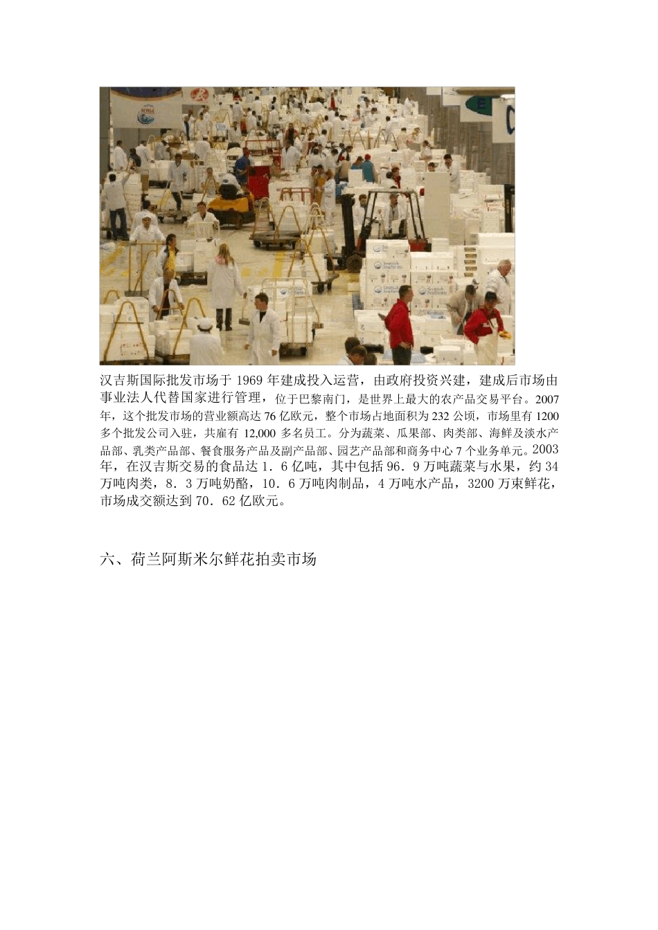 国外知名农产品批发市2_第3页